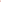 Peach Lace Dress – ELLY - ELLY
